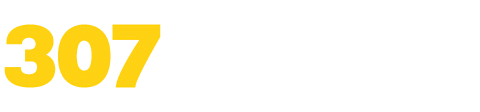 Logo da 307bet